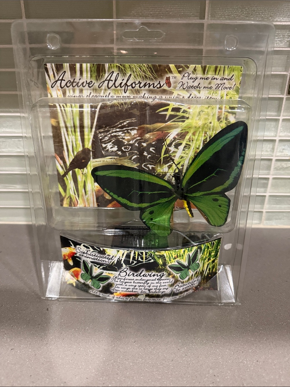 Green Butterfly